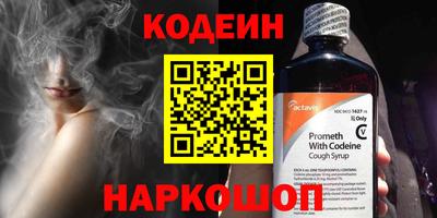 индика Новодвинск
