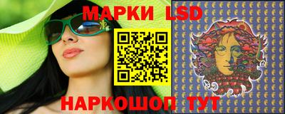индика Новодвинск