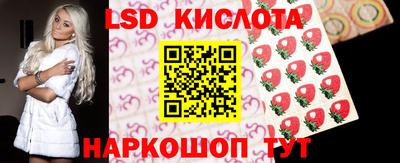 индика Новодвинск