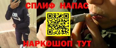 индика Новодвинск