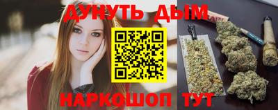 индика Новодвинск