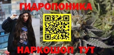 мдма Новозыбков