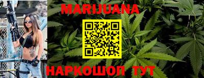 индика Новодвинск
