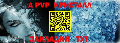 индика Новодвинск