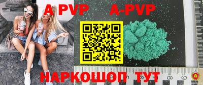 индика Новодвинск