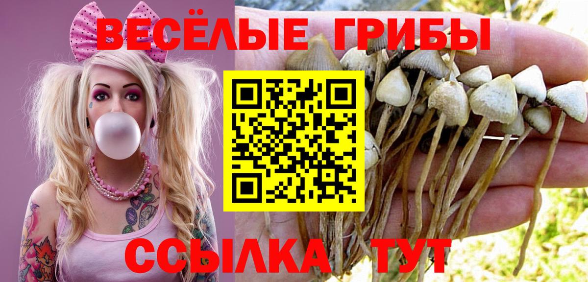 Галлюциногенные грибы Psilocybine cubensis  Вход с VPN  Сарапул 